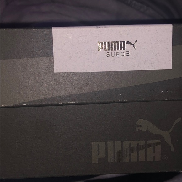 Red pumas - Picture 4 of 4